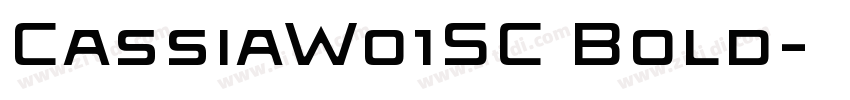 CassiaW01SC Bold字体转换